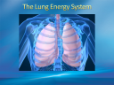 Lung Energy and Your Child