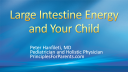Large Intestine Energy and Your Child
